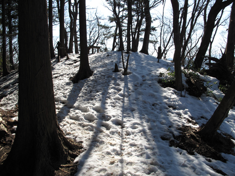 20160128hike (262)